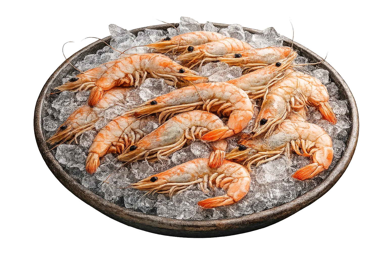Categoría Camaron Fresco
